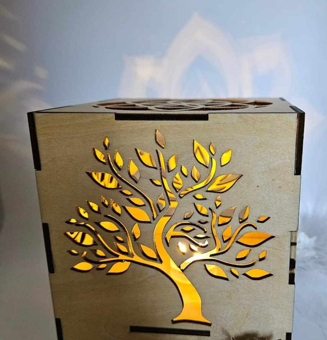 Boîte Lumineuse