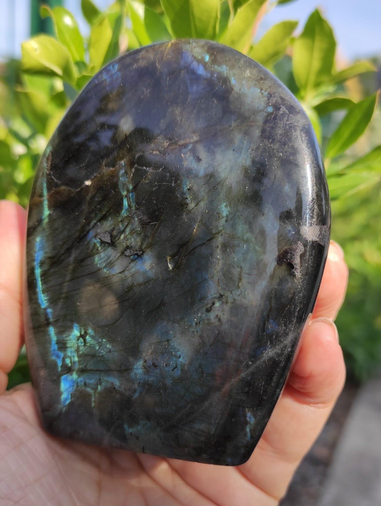 labraorite polie – Image 2