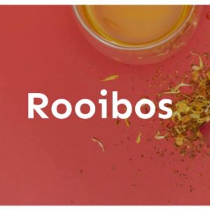 Rooibos