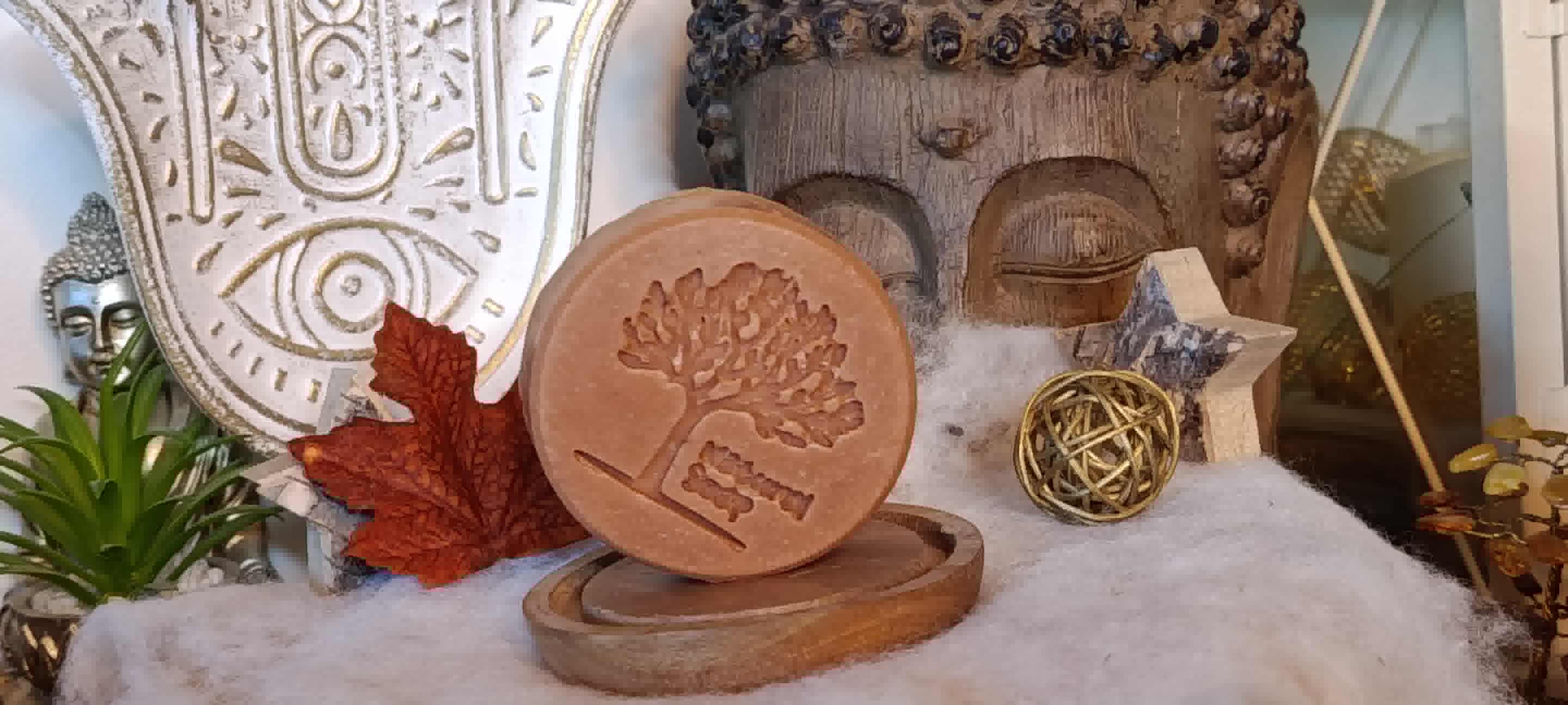 Savon Purifiant Energisant
